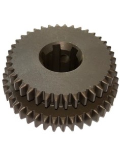 INGRANAGGIO SCORREVOLE G14S251Z38+Z43