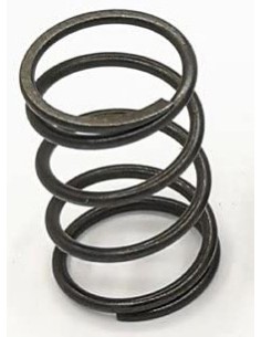 MOLLA VALVOLA 5HP 170