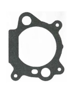 GUARNIZIONE B&S QUANTUM