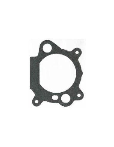 GUARNIZIONE B&S QUANTUM