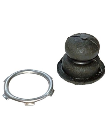 PRIMER TECUMSEH CON FORO PER CARBURATORE USA