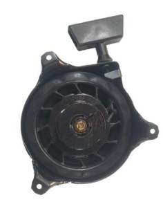 AVVIATORE BRIGGS&STRATTON SPRINT-QUANTUM