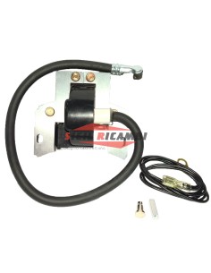 BOBINA ELETTRONICA BRIGGS & STRATTON MOTORI ORIZZONTALI E...