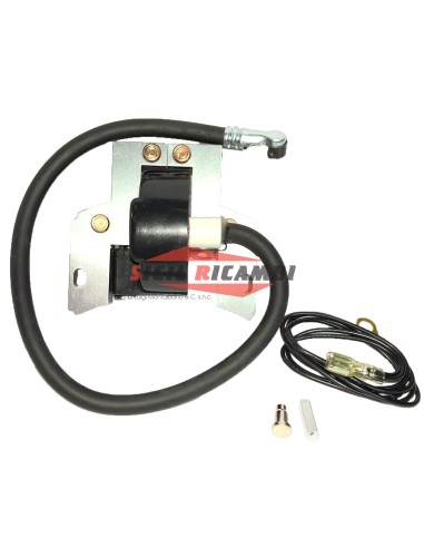 BOBINA ELETTRONICA BRIGGS & STRATTON MOTORI...