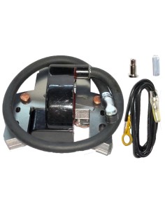 BOBINA ELETTRONICA BRIGGS & STRATTON MOTORI QUANTUM...
