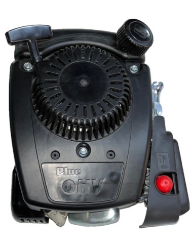 MOTORE ALPINA RS100 M100CC 3,5HP ARIA CON...