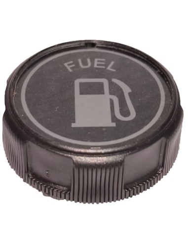 TAPPO B&S 5HP PER MOTORI ALBERO ORIZZONTALE