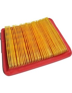 FILTRO ARIA ALPINA-STIGA-LONCIN PER MOTOR WBE0701