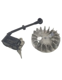 KIT VOLANO E BOBINA DIGITALE ALPINA MOTOSEGA DA POTATURA...