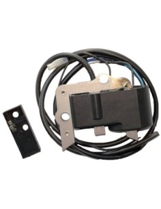 BOBINA ELETTRONICA CON PK PER BETA B210