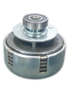 FRIZIONE BENASSI BL105