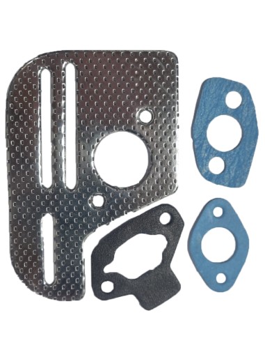 SERIE GUARNIZIONI HONDA GX 100